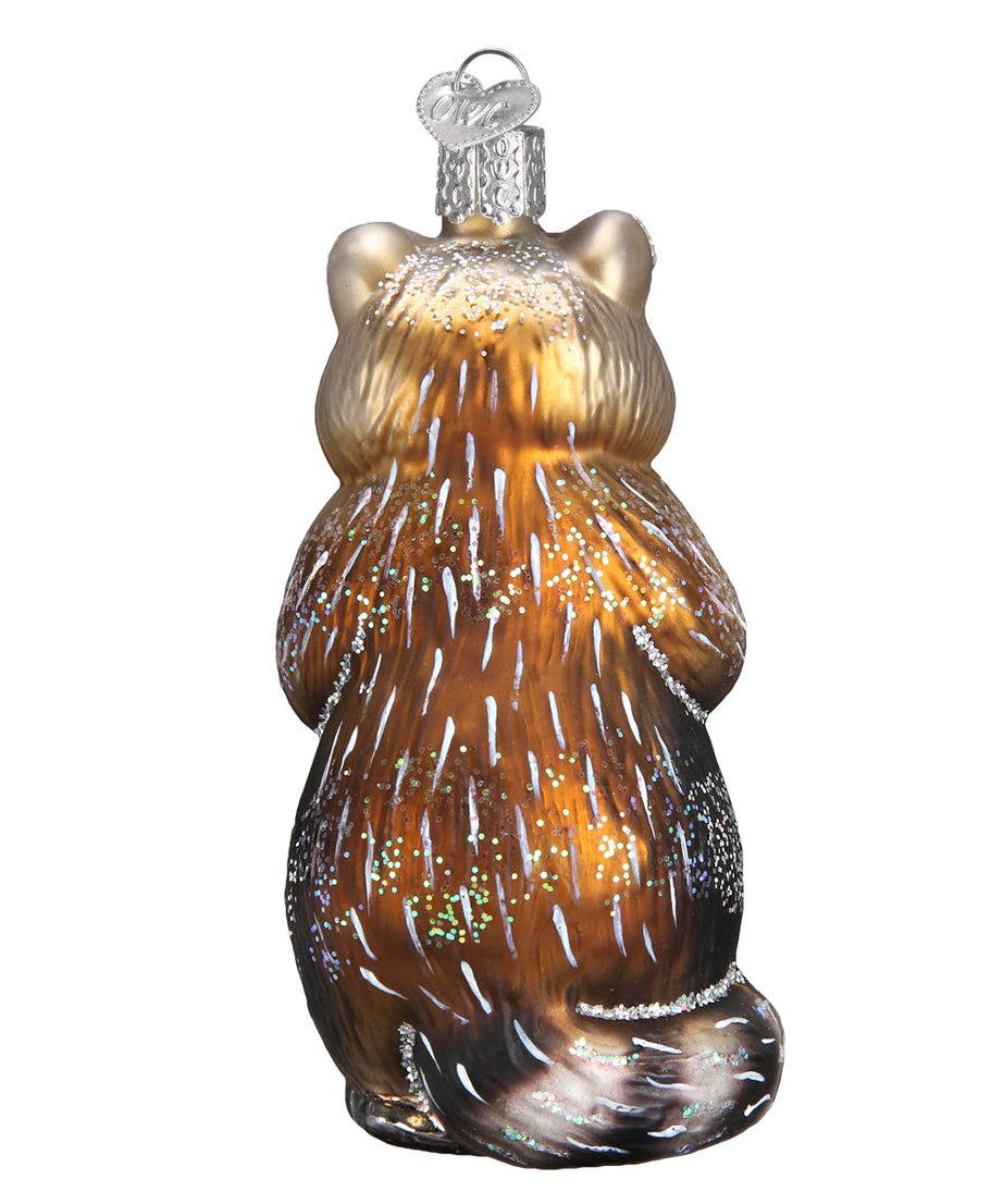 Raccoon Ornament