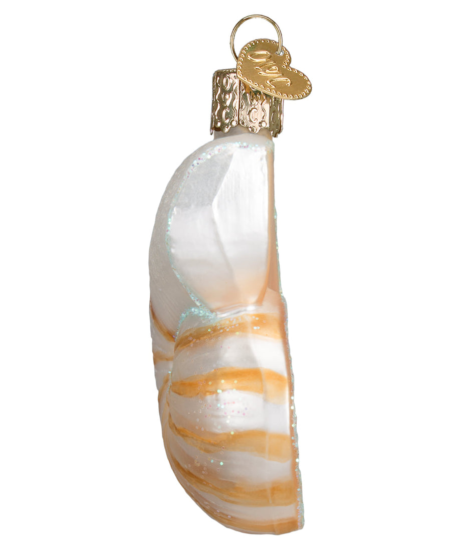 Nautilus Shell Ornament - Grazingbelles