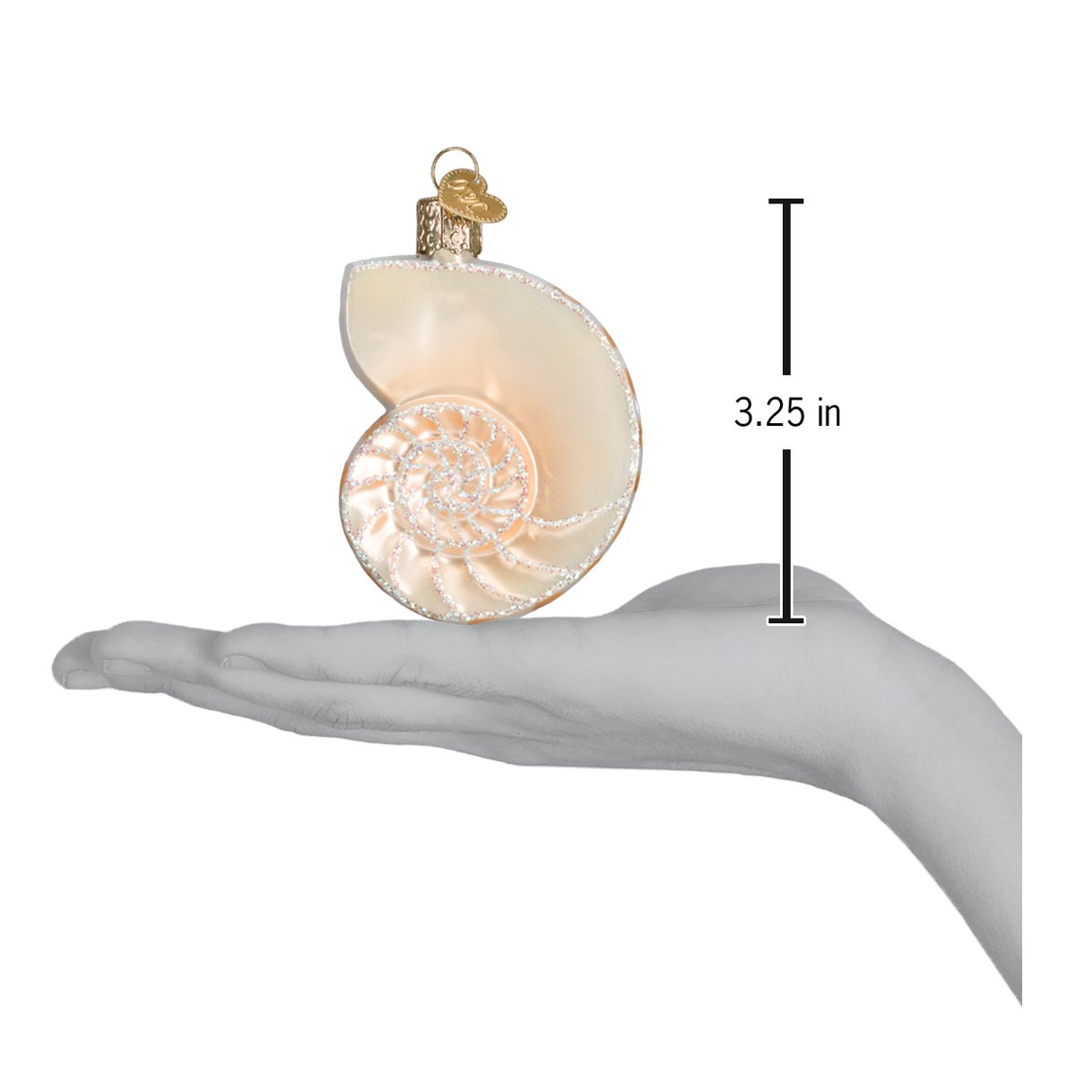 Nautilus Shell Ornament - Grazingbelles