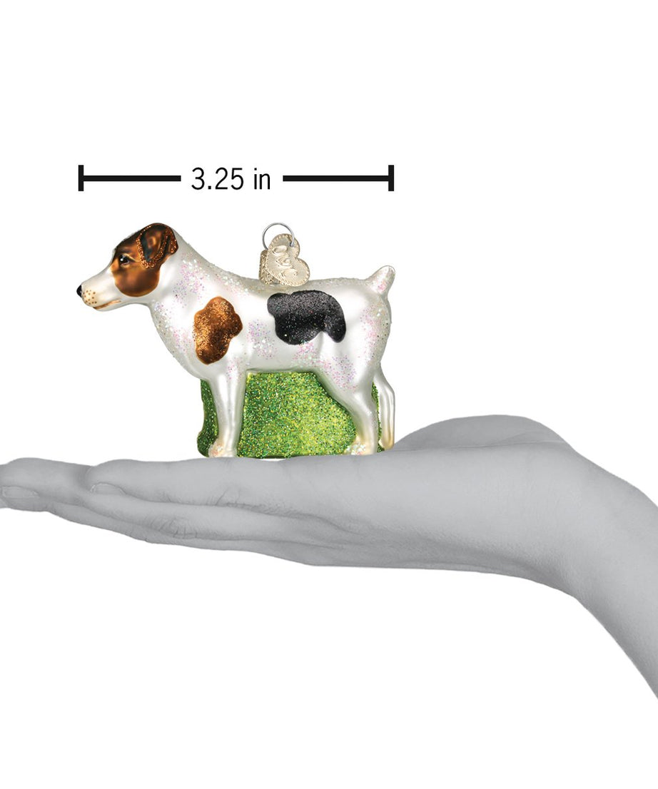 Jack Russell Terrier Ornament