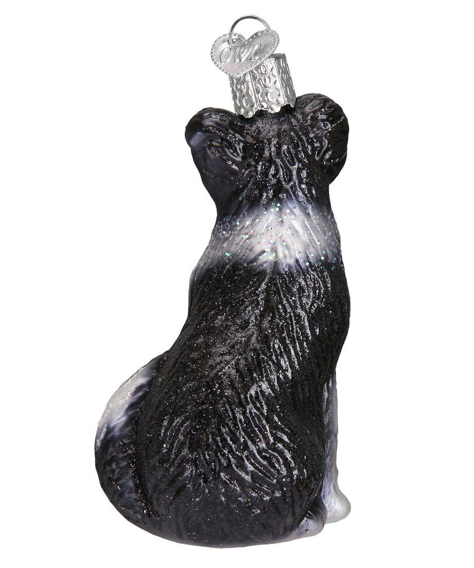 Border Collie Ornament