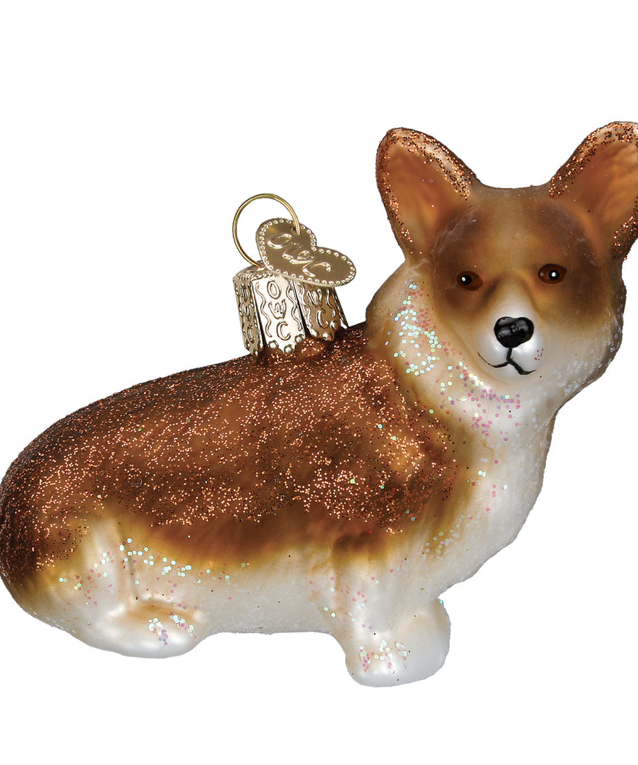 Pembroke Welsh Corgi