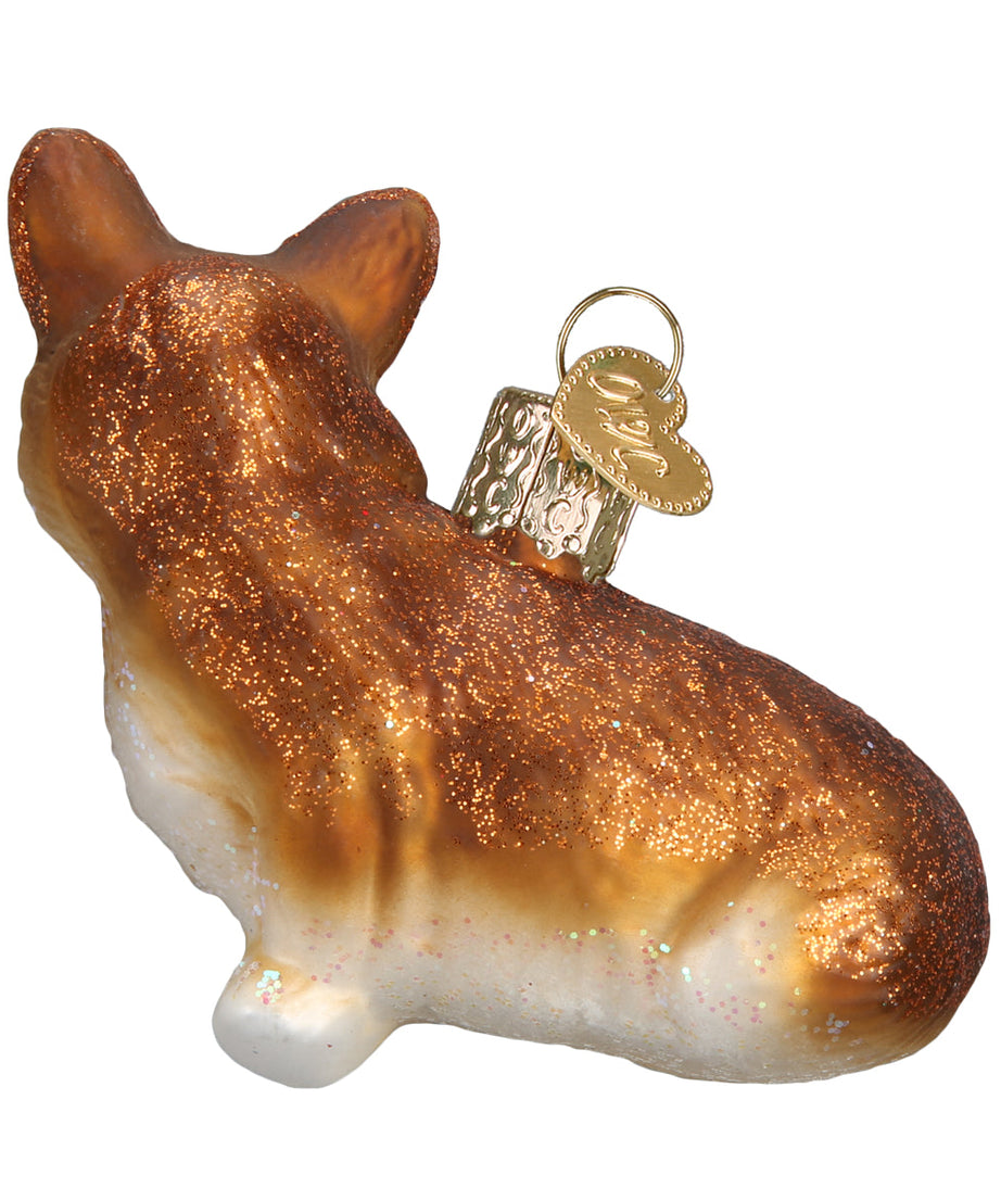 Pembroke Welsh Corgi