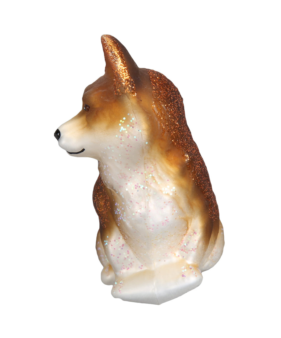 Pembroke Welsh Corgi