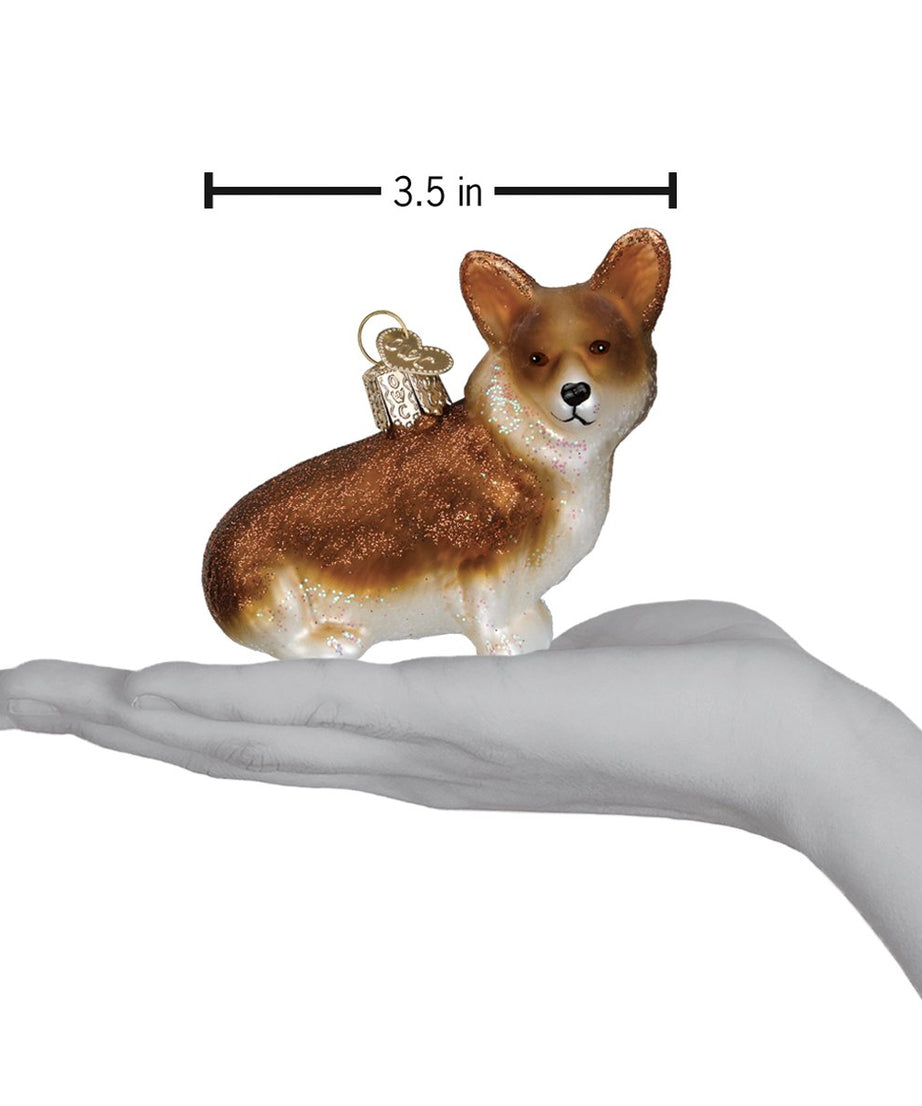Pembroke Welsh Corgi