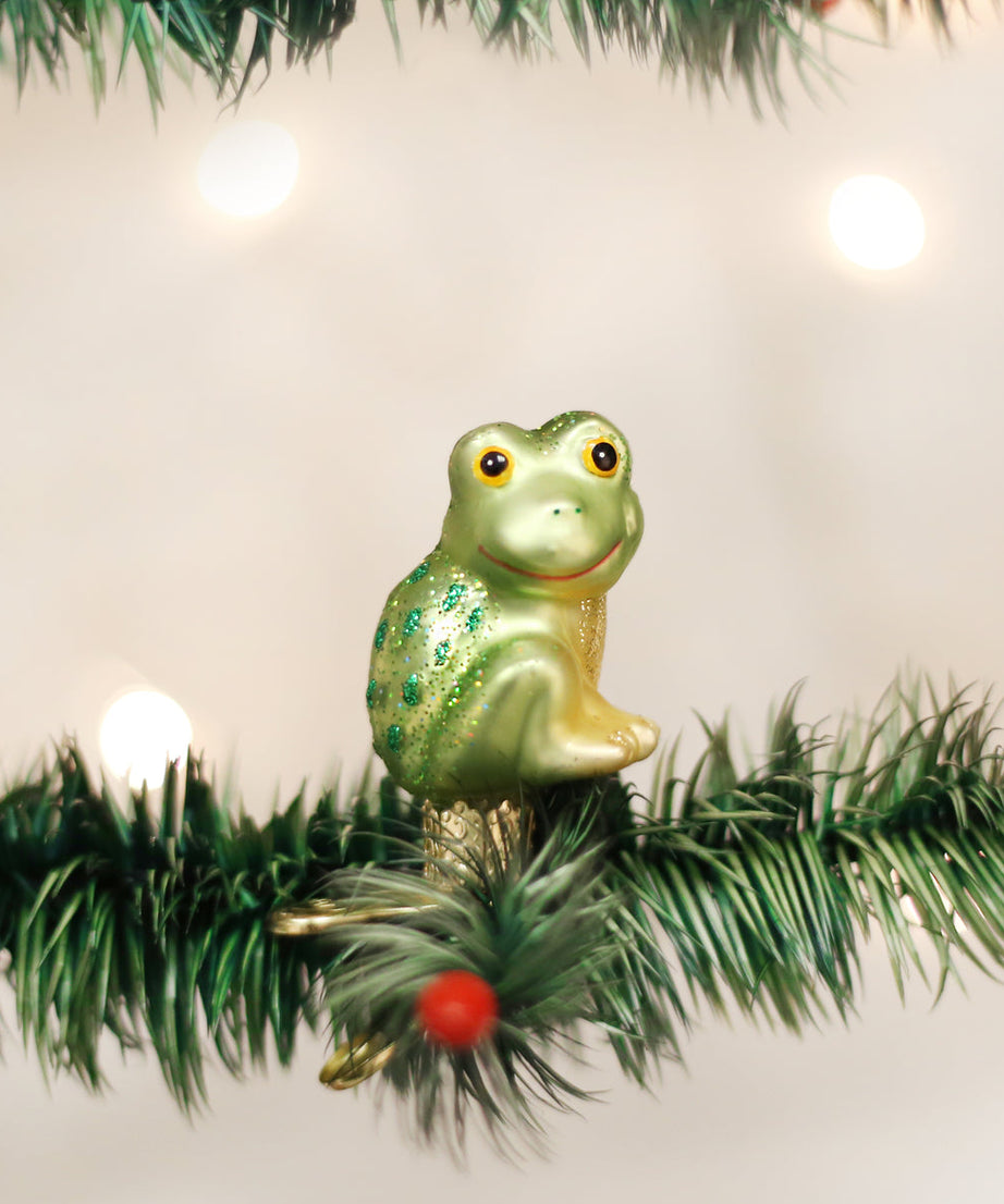 Happy Froggy Ornament