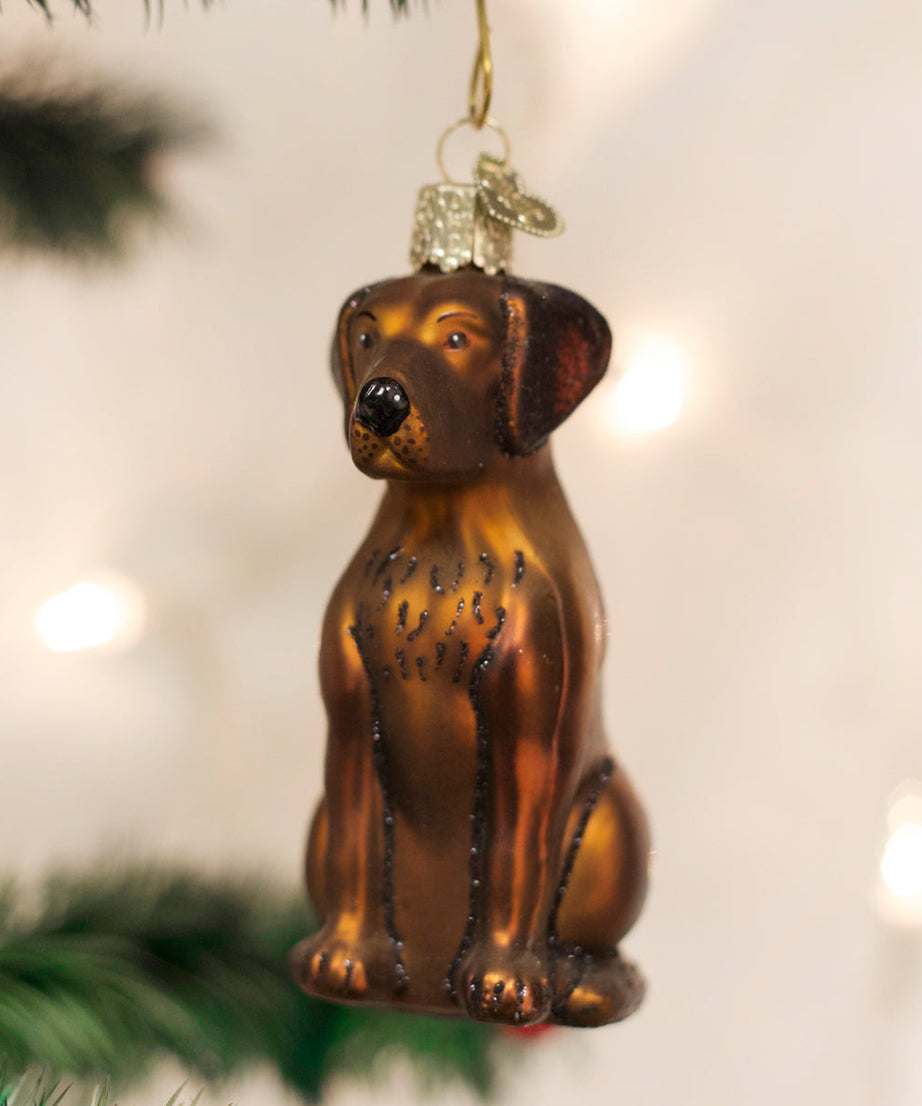 Chocolate Labrador Ornament