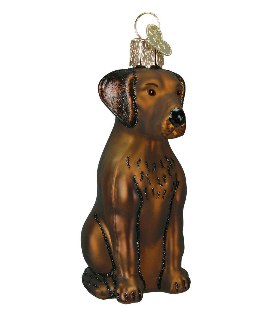 Chocolate Labrador Ornament