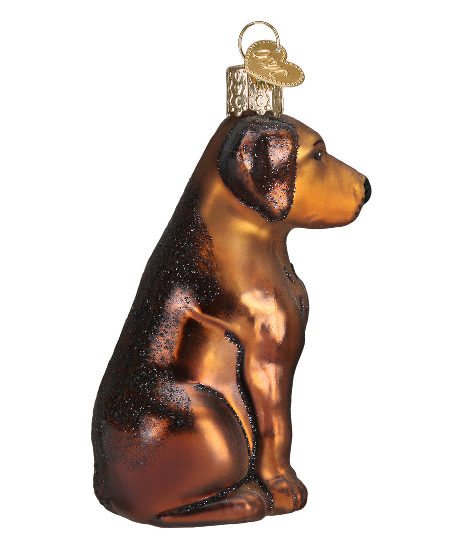 Chocolate Labrador Ornament