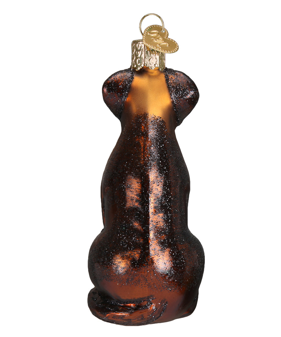 Chocolate Labrador Ornament