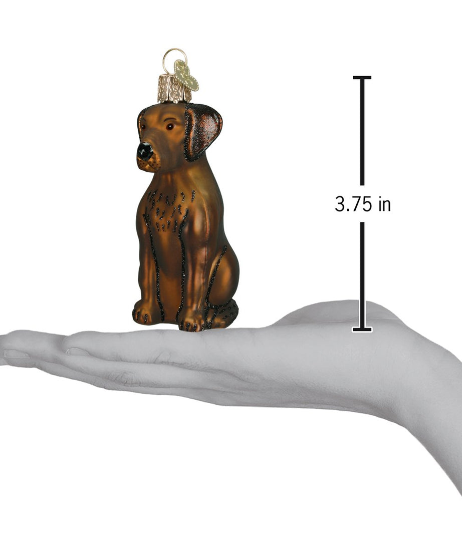 Chocolate Labrador Ornament
