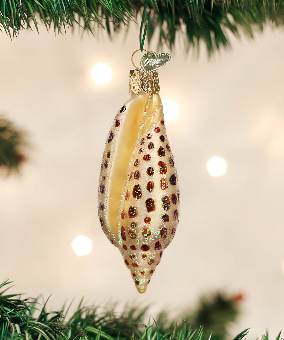 Junonia Shell Ornament