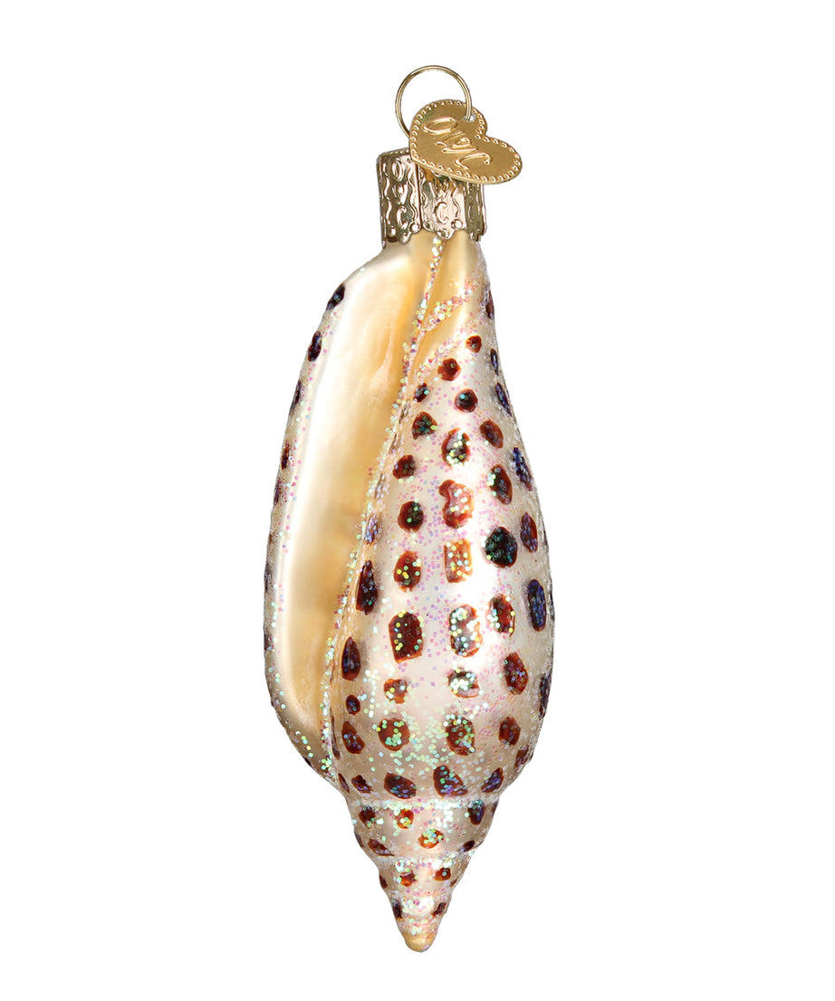 Junonia Shell Ornament