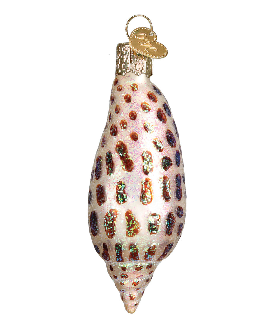 Junonia Shell Ornament
