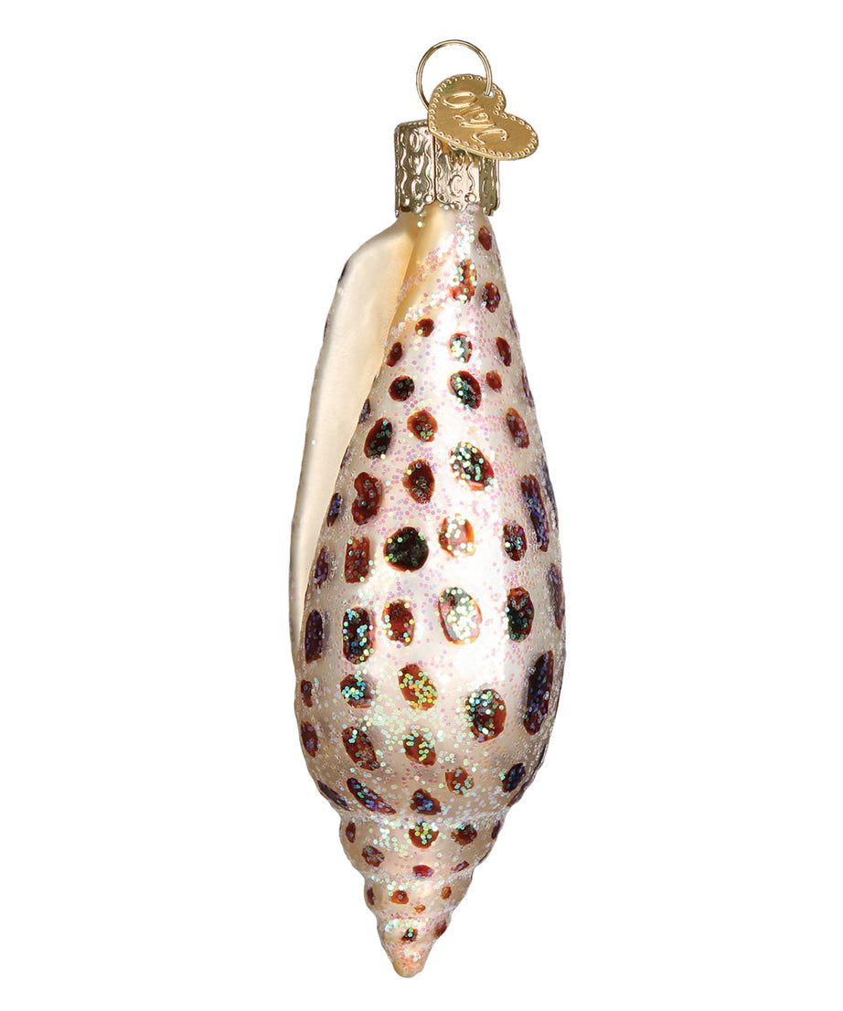 Junonia Shell Ornament