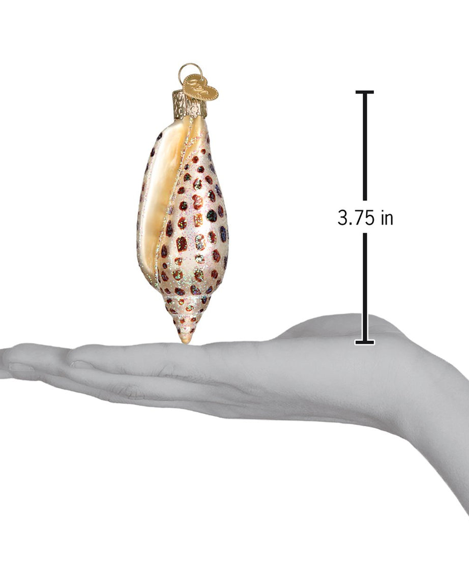 Junonia Shell Ornament
