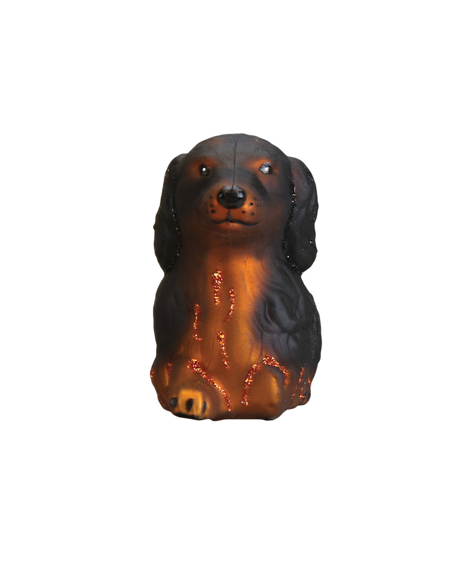 Long-haired Dachshund