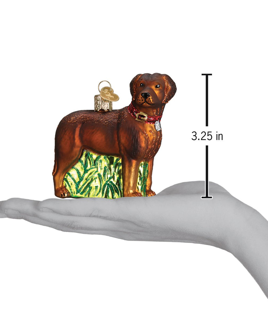 Standing Chocolate Lab Ornament