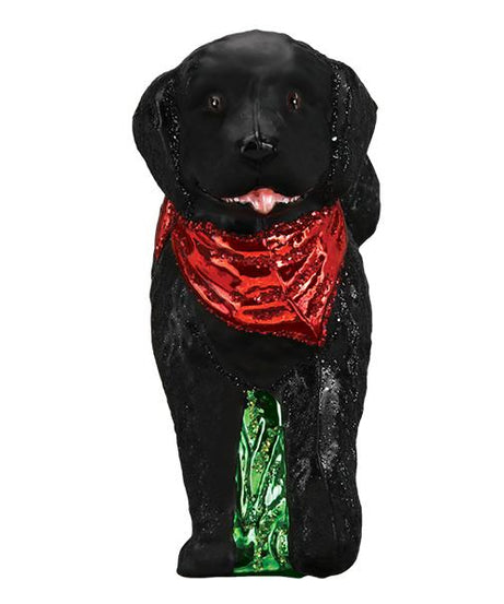 Black Doodle Dog Ornament