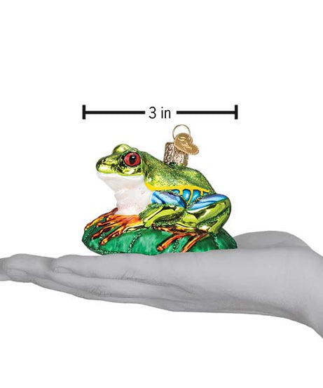 Red-eyed Tree Frog Ornament