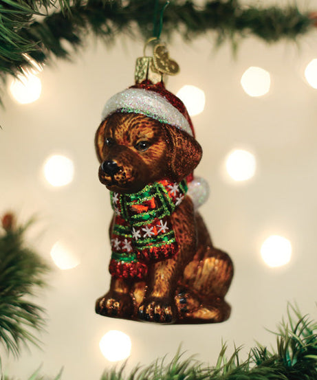 Holiday Chocolate Labrador Pup Ornament