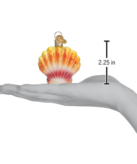 Sunrise Shell Ornament
