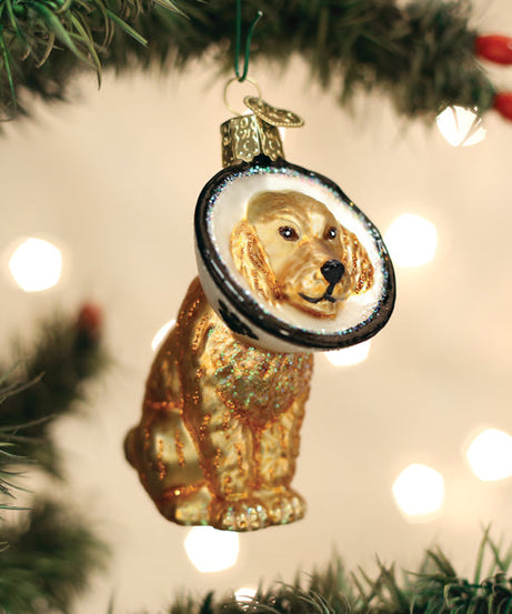 Cone Of Shame Dog Ornament