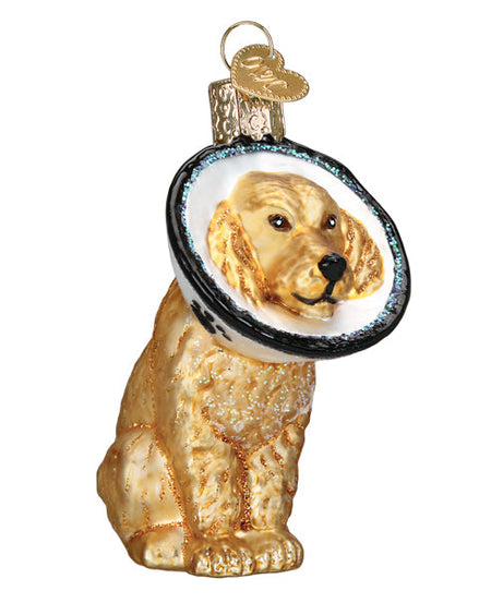 Cone Of Shame Dog Ornament