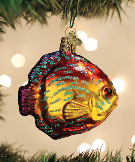 Discus Fish Ornament