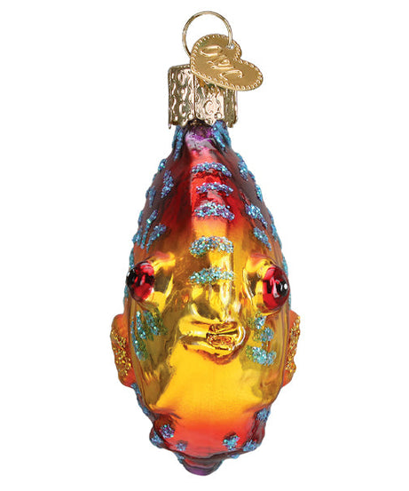 Discus Fish Ornament
