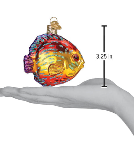 Discus Fish Ornament