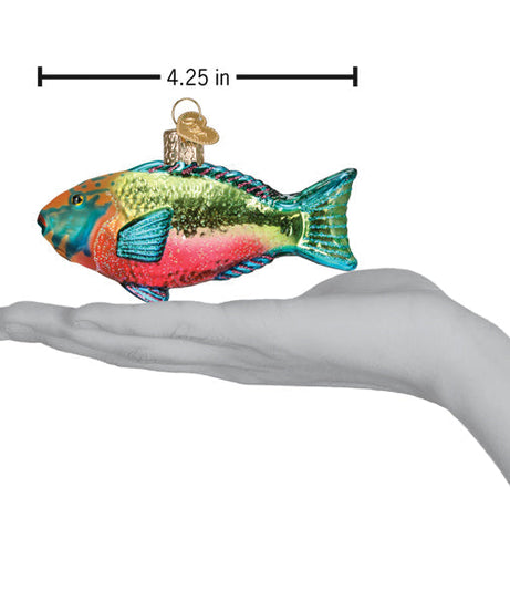 Parrotfish Ornament - Grazingbelles