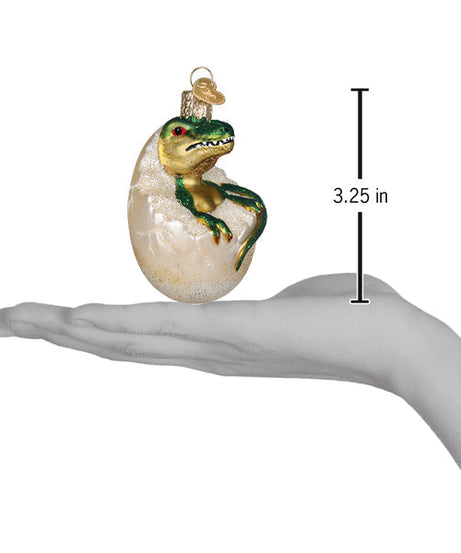 Baby Dino In Egg Ornament