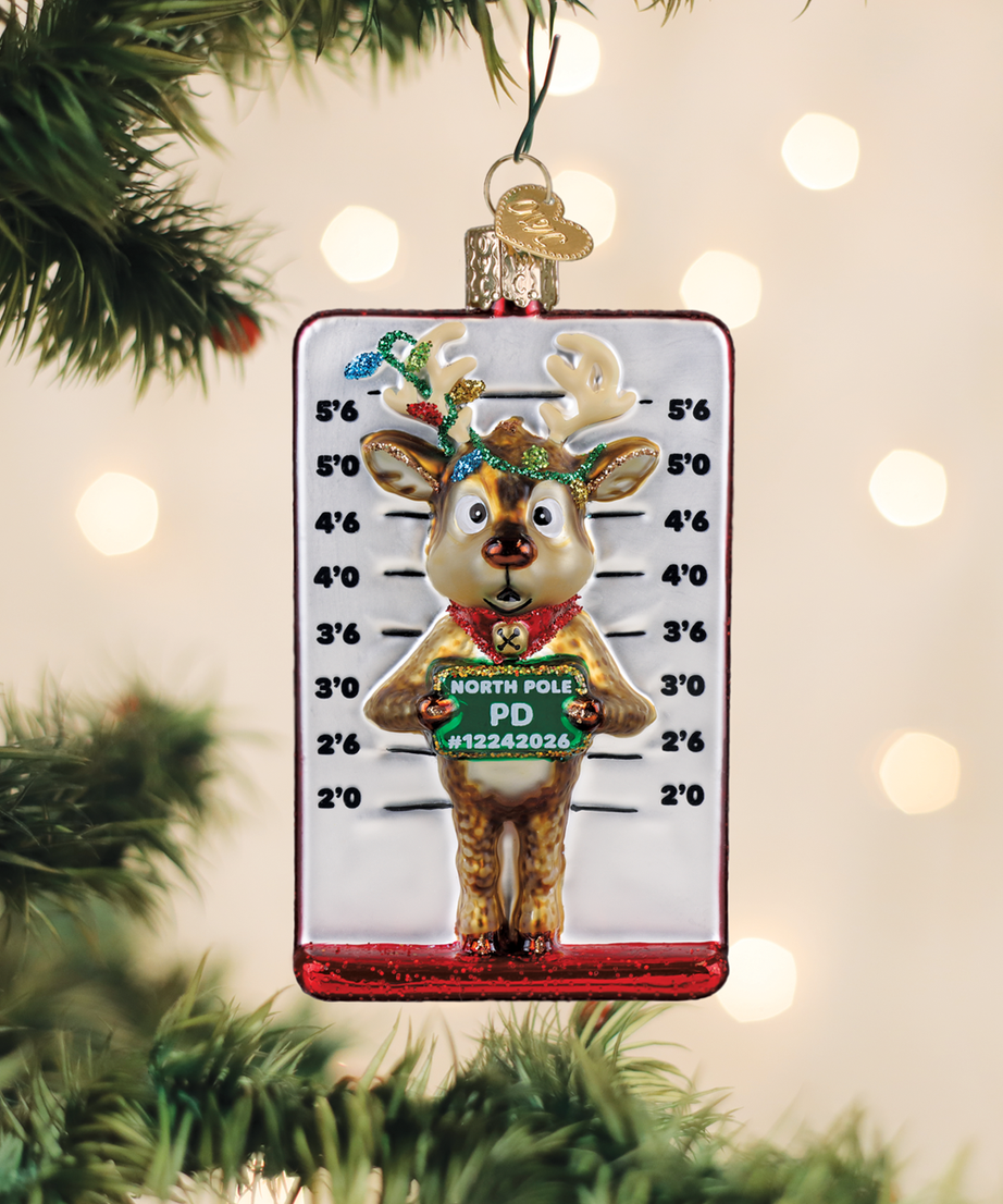 Reindeer Mugshot Ornament
