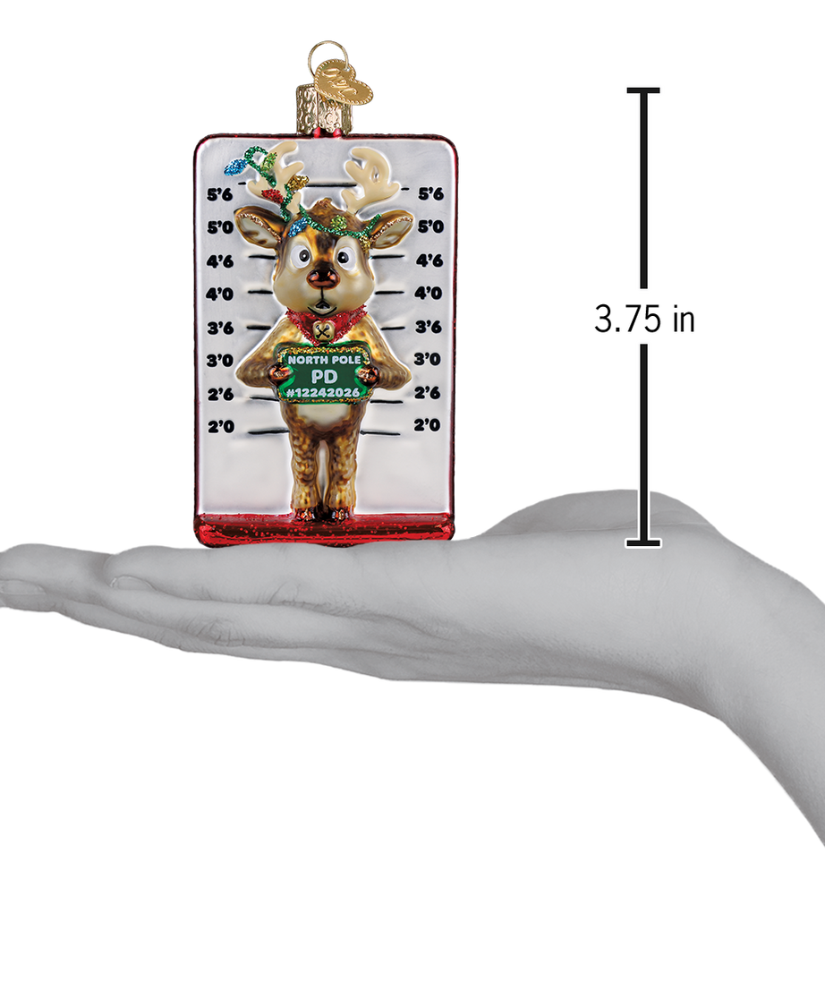 Reindeer Mugshot Ornament