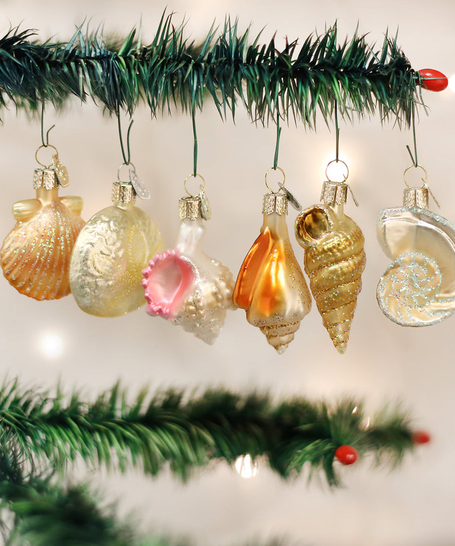 Sea Shell Christmas Ornament Set