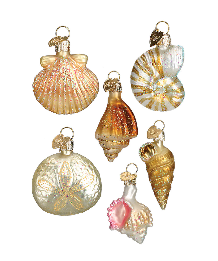 Sea Shell Christmas Ornament Set