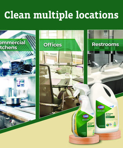 Clorox Pro EcoClean All-Purpose Cleaner, Unscented, 32 oz Spray Bottle, 9/Carton (60276CT) - Grazingbelles