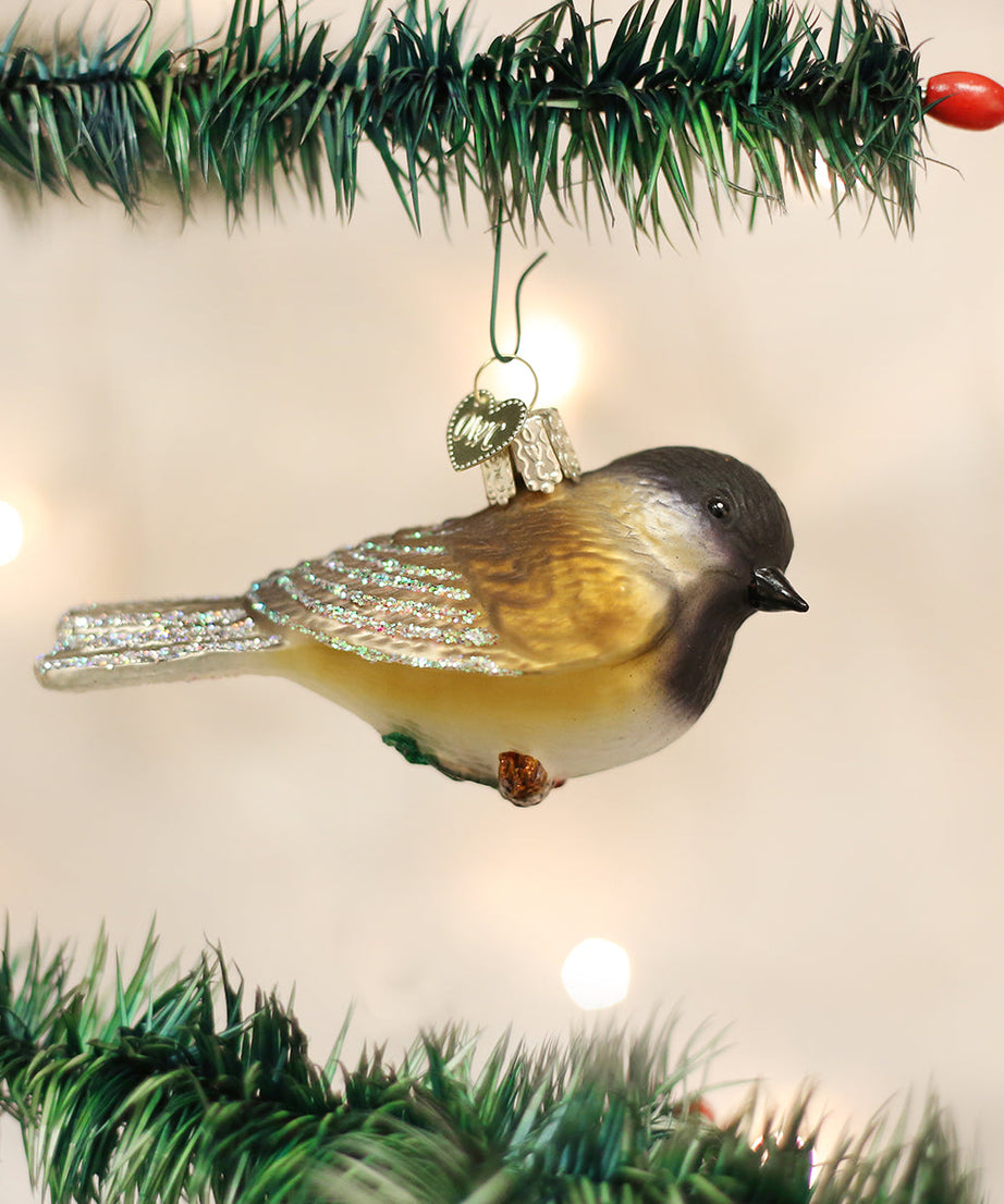 Black-capped Chickadee