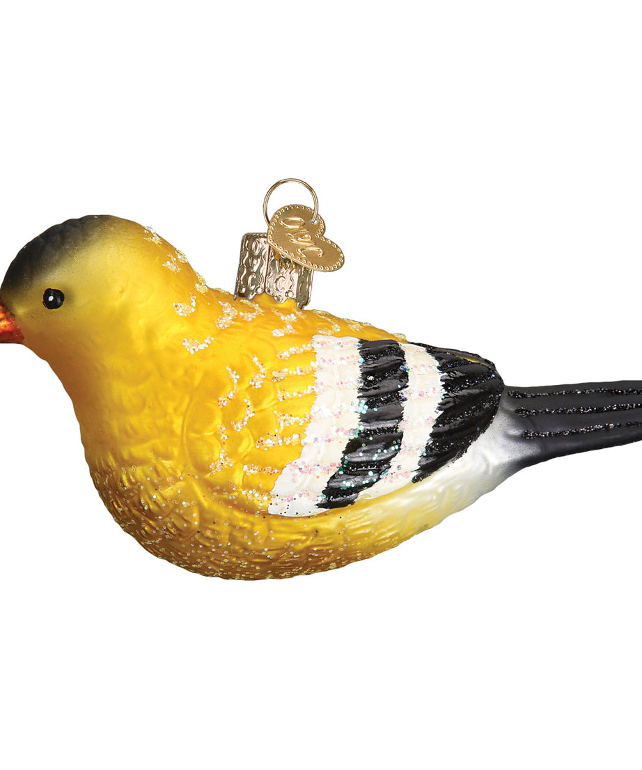 Hanging American Goldfinch