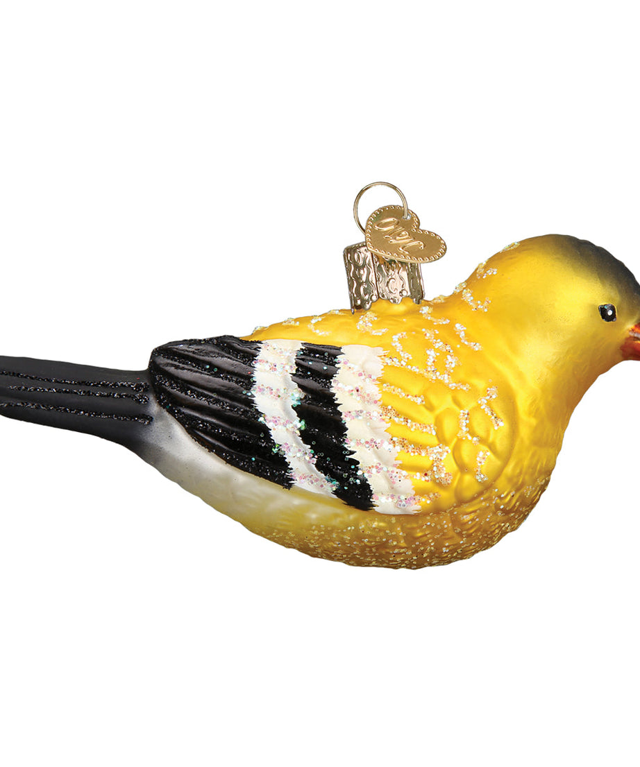 Hanging American Goldfinch