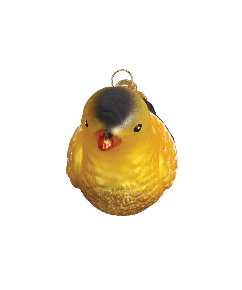 Hanging American Goldfinch