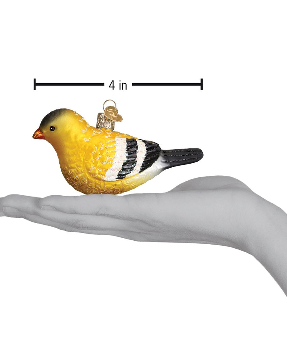 Hanging American Goldfinch