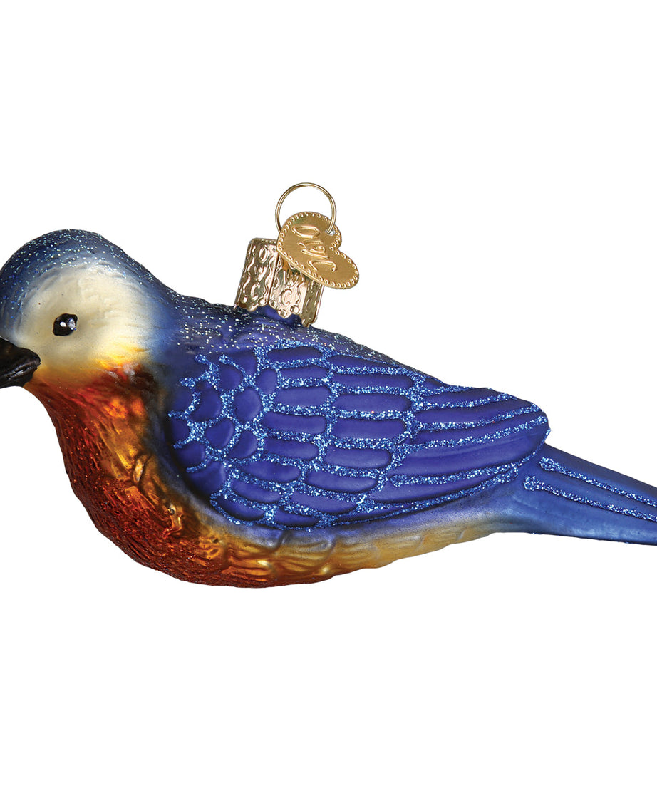 Hanging Western Bluebird