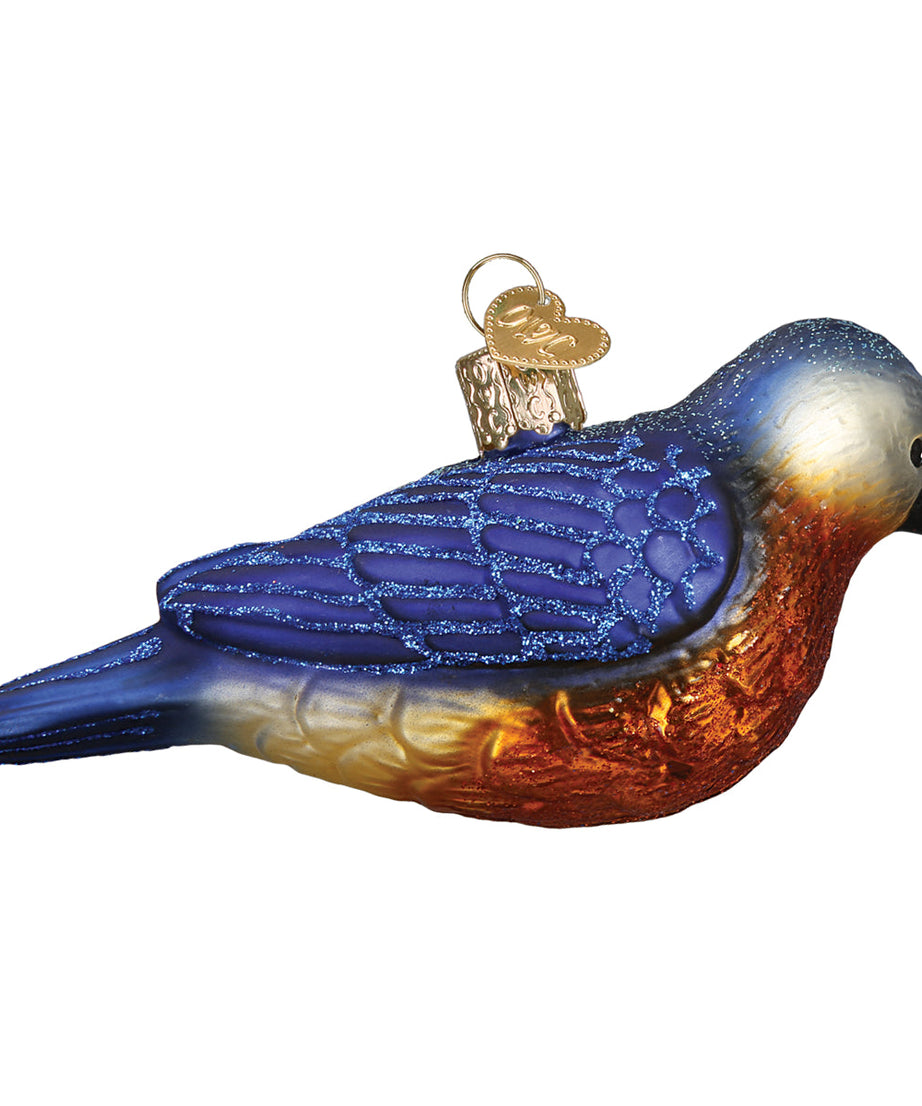 Hanging Western Bluebird