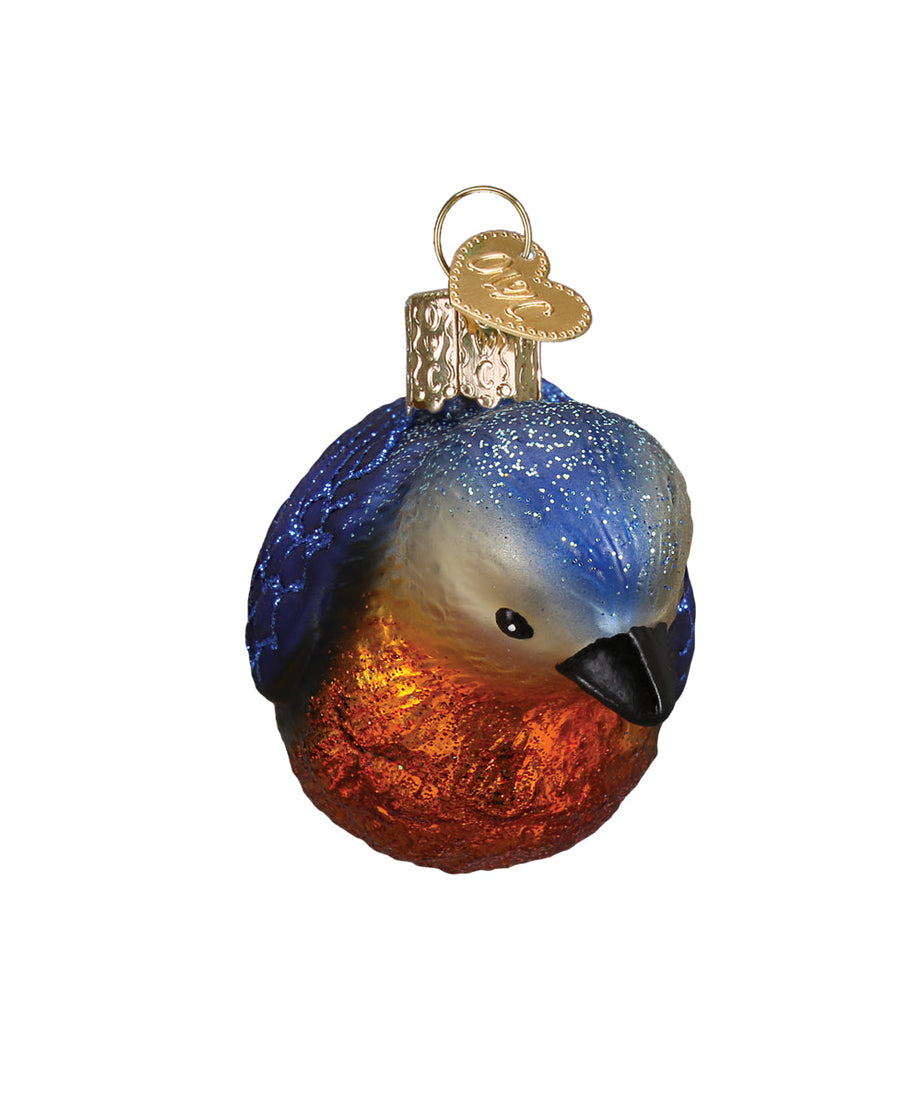 Hanging Western Bluebird