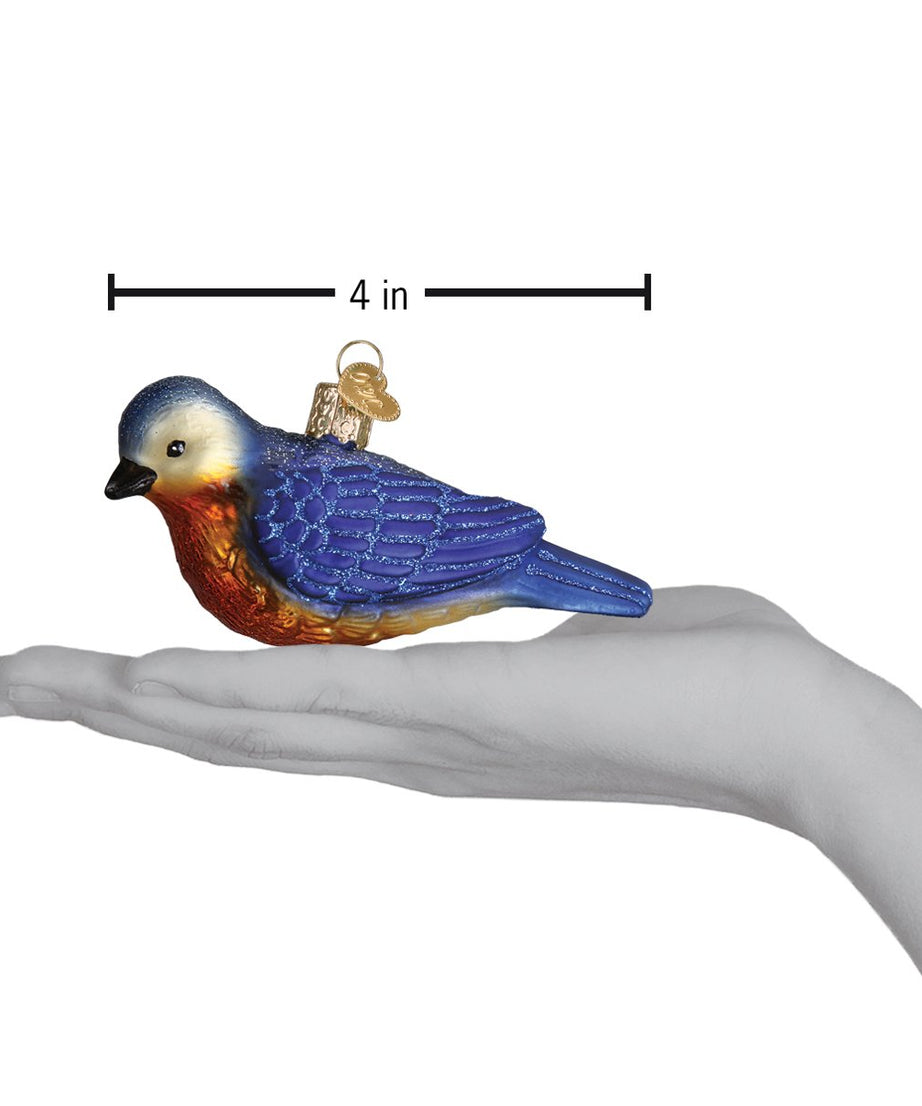 Hanging Western Bluebird