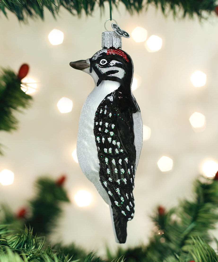 Hanging Hairy Woodpecker