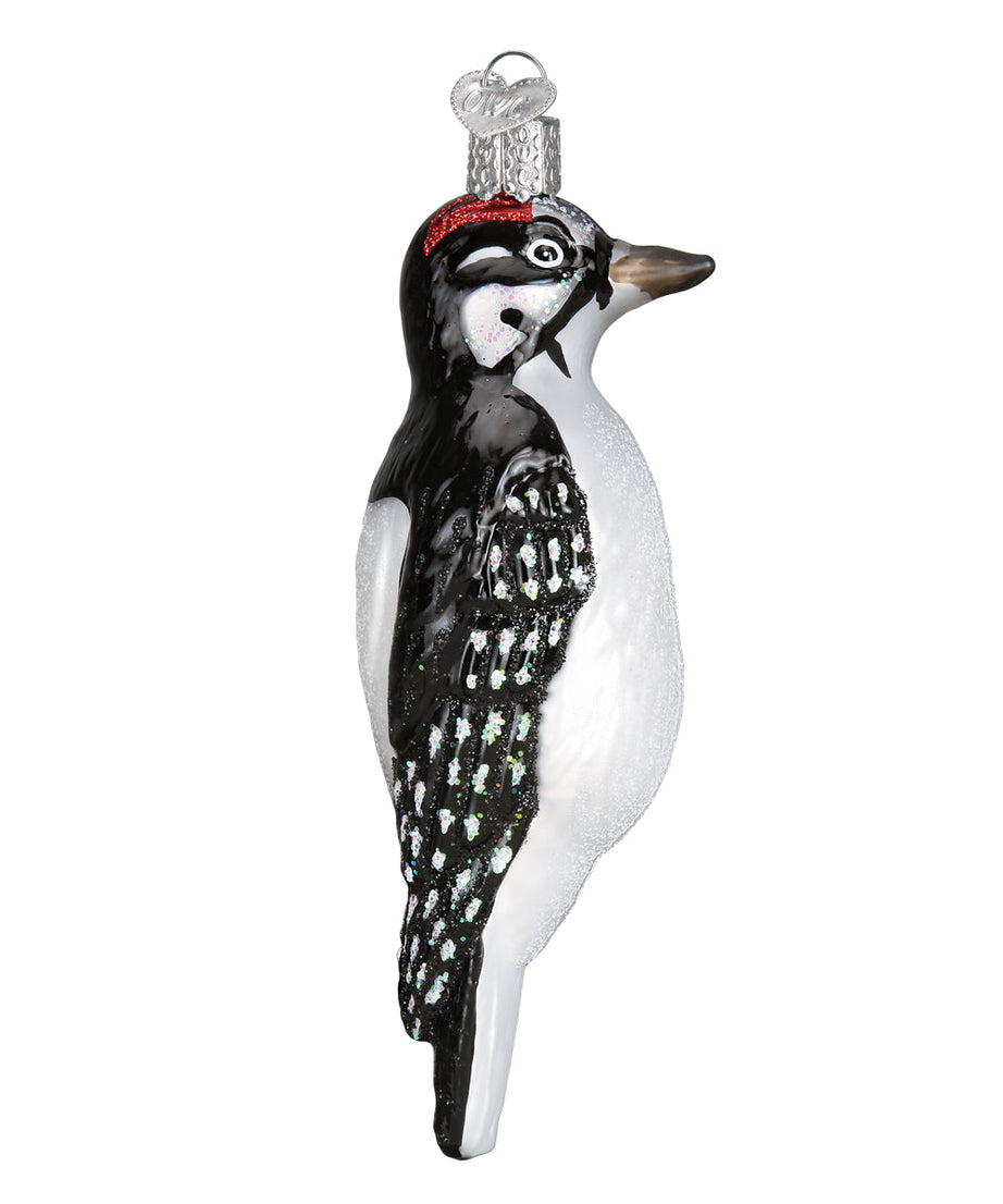Hanging Hairy Woodpecker