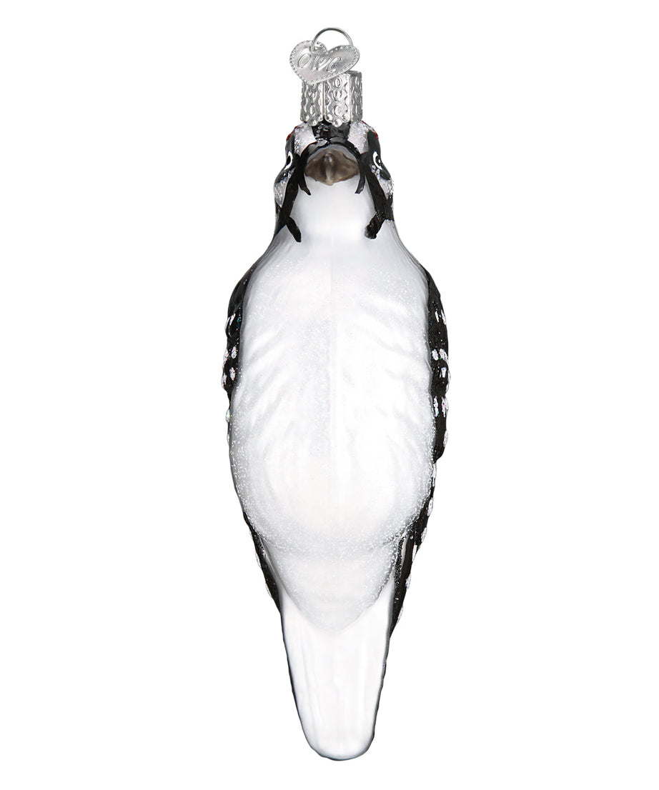 Hanging Hairy Woodpecker